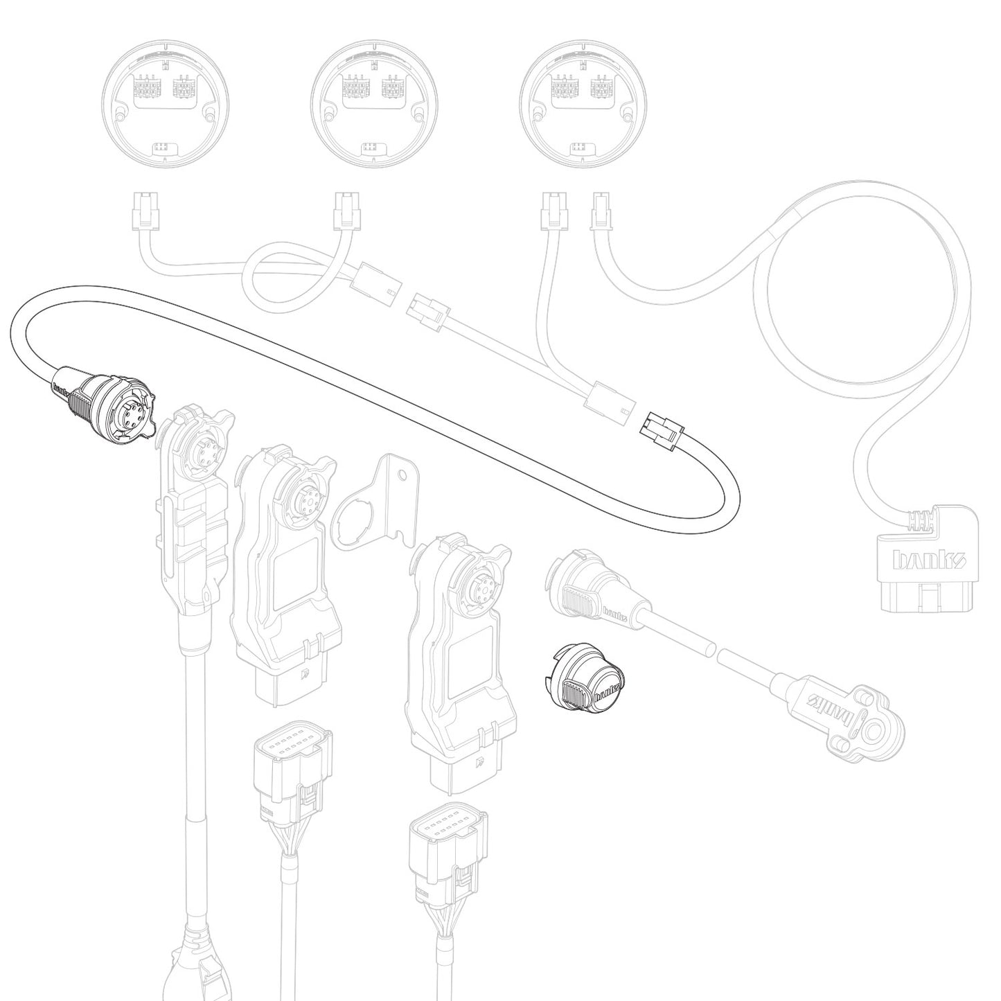 66556_illo.jpg