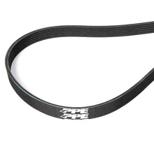 Serpentine Belt - 2017-2019 GM 6.6L L5P Dual Alternator 3683mm 6 Rib Pacific Performance Engineering