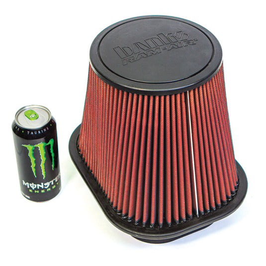 41829_Ford_RamAir_filter.jpg