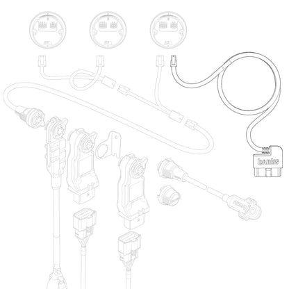 61300-45_illo.jpg