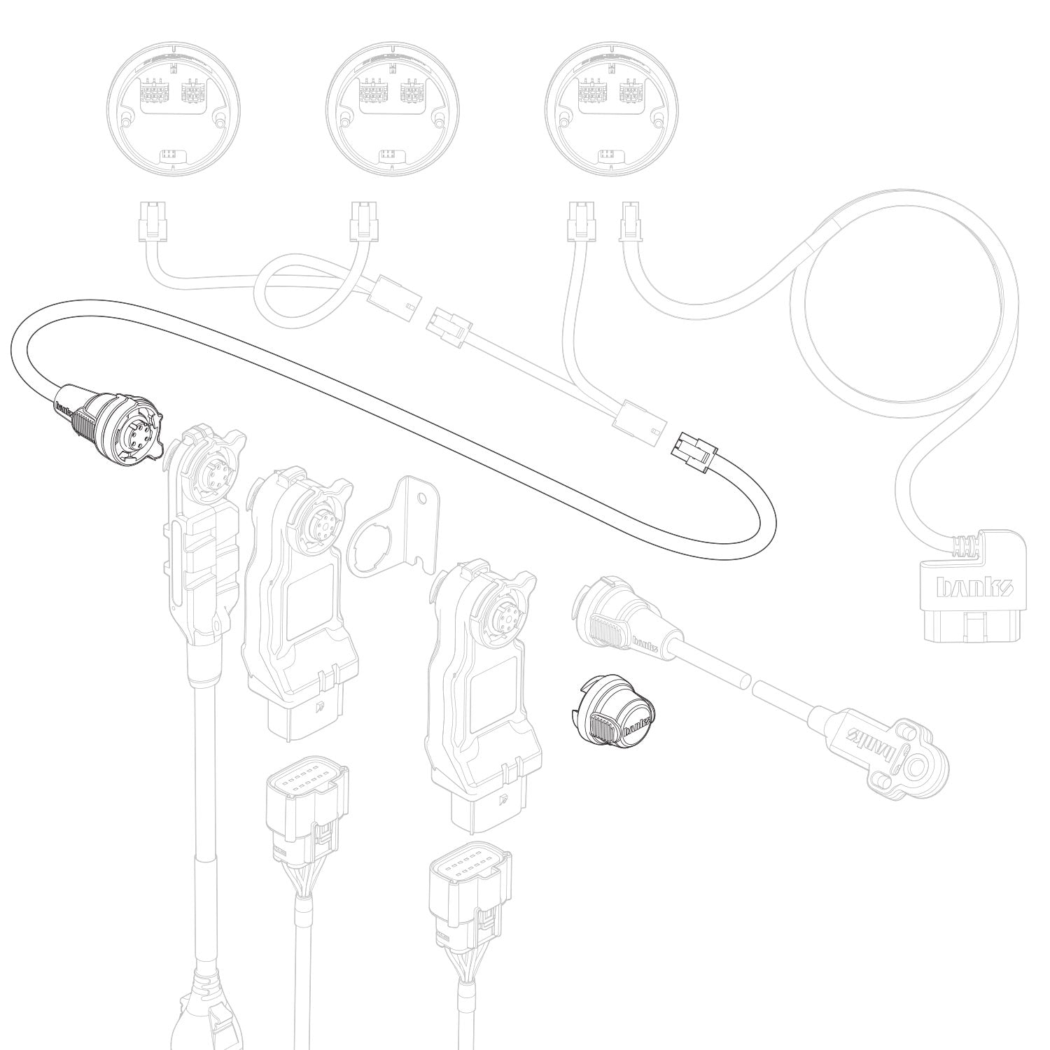 66556_illo.jpg