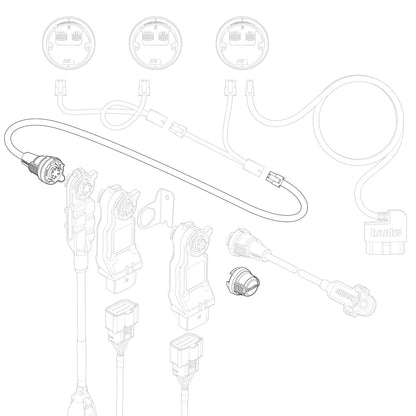 66556_illo.jpg