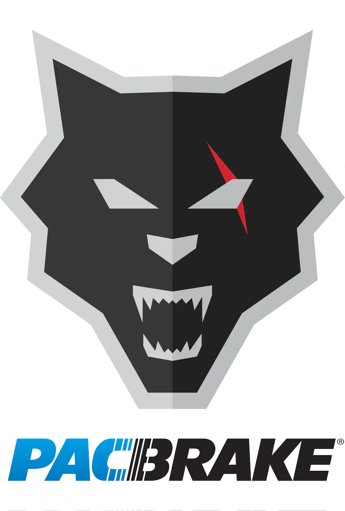 pacbrake Logo. Clicking it will bring you to the pacbrake collection page.